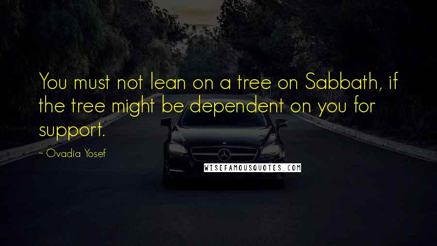 Ovadia Yosef Quotes: You must not lean on a tree on Sabbath, if the tree might be dependent on you for support.