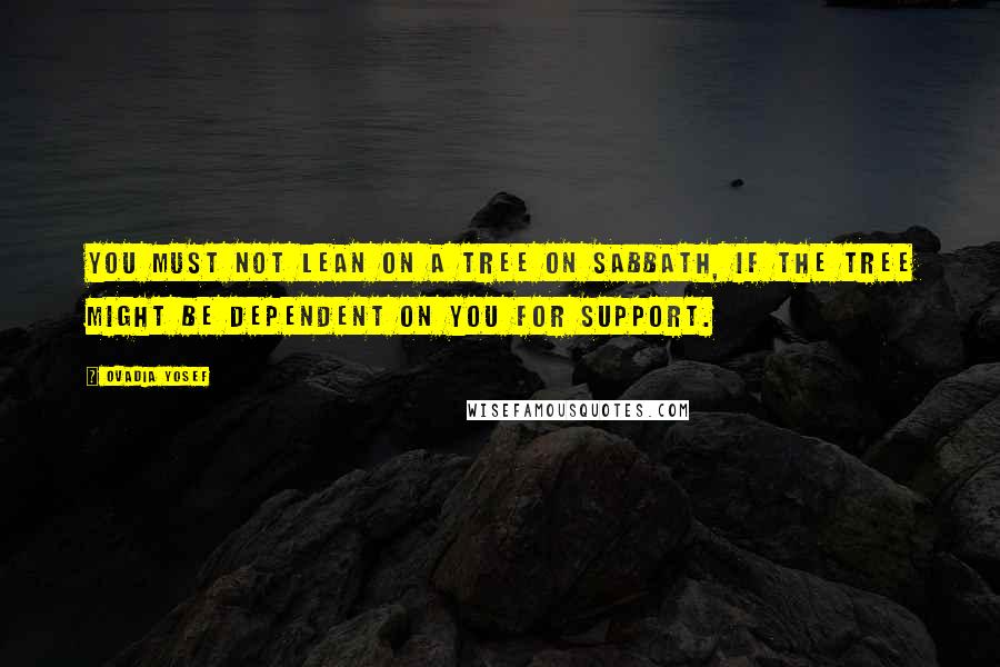 Ovadia Yosef Quotes: You must not lean on a tree on Sabbath, if the tree might be dependent on you for support.