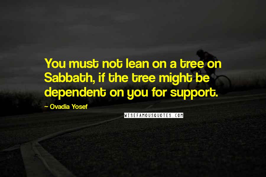 Ovadia Yosef Quotes: You must not lean on a tree on Sabbath, if the tree might be dependent on you for support.