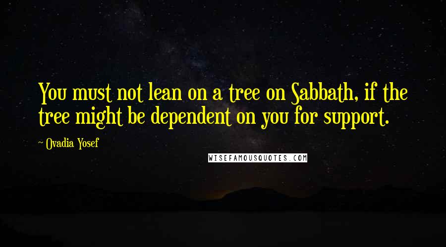 Ovadia Yosef Quotes: You must not lean on a tree on Sabbath, if the tree might be dependent on you for support.