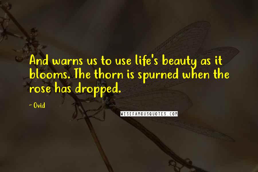 Ovid Quotes: And warns us to use life's beauty as it blooms. The thorn is spurned when the rose has dropped.