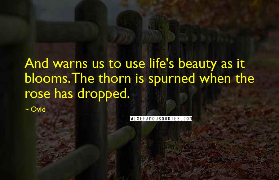 Ovid Quotes: And warns us to use life's beauty as it blooms. The thorn is spurned when the rose has dropped.