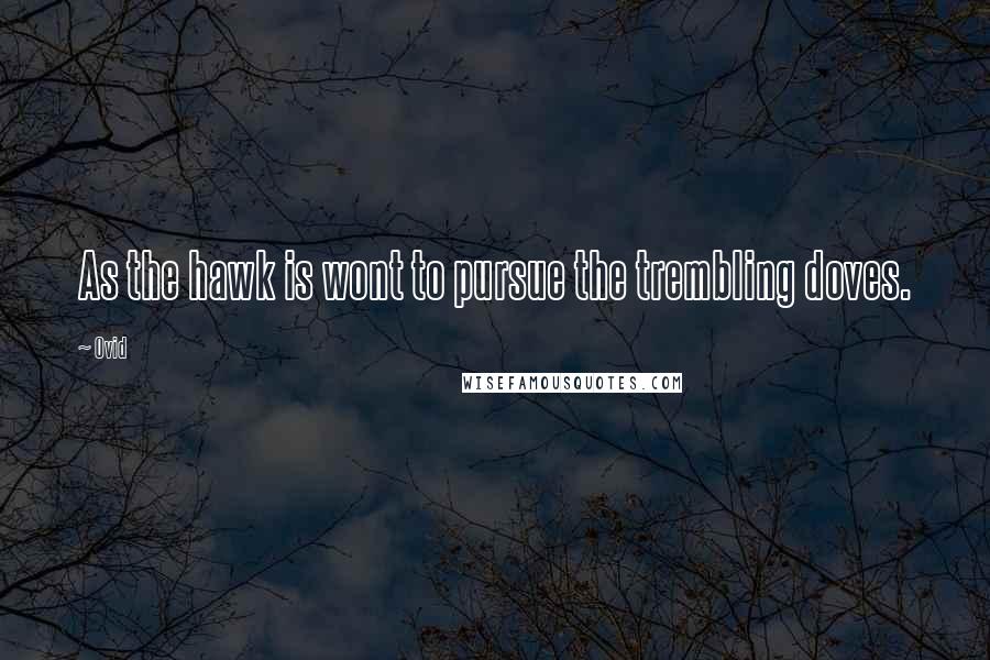 Ovid Quotes: As the hawk is wont to pursue the trembling doves.