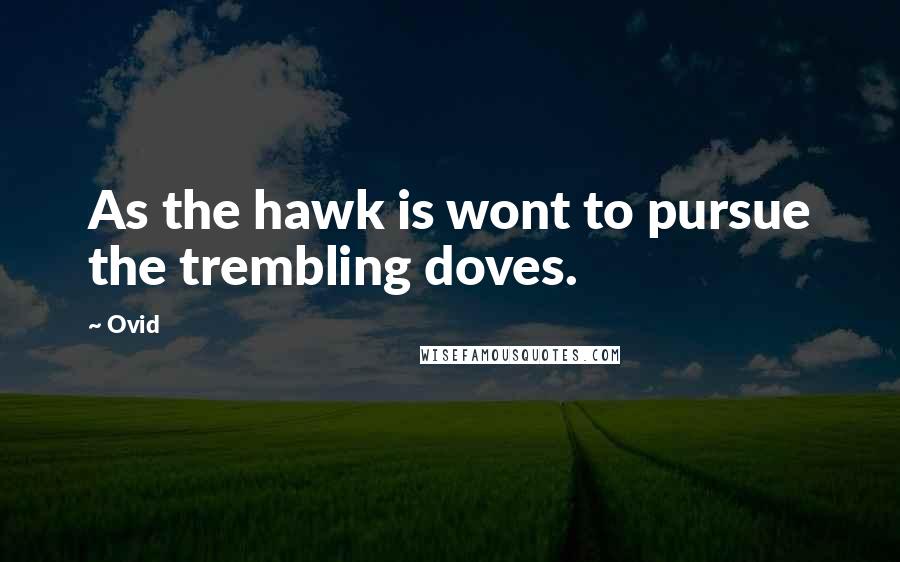 Ovid Quotes: As the hawk is wont to pursue the trembling doves.