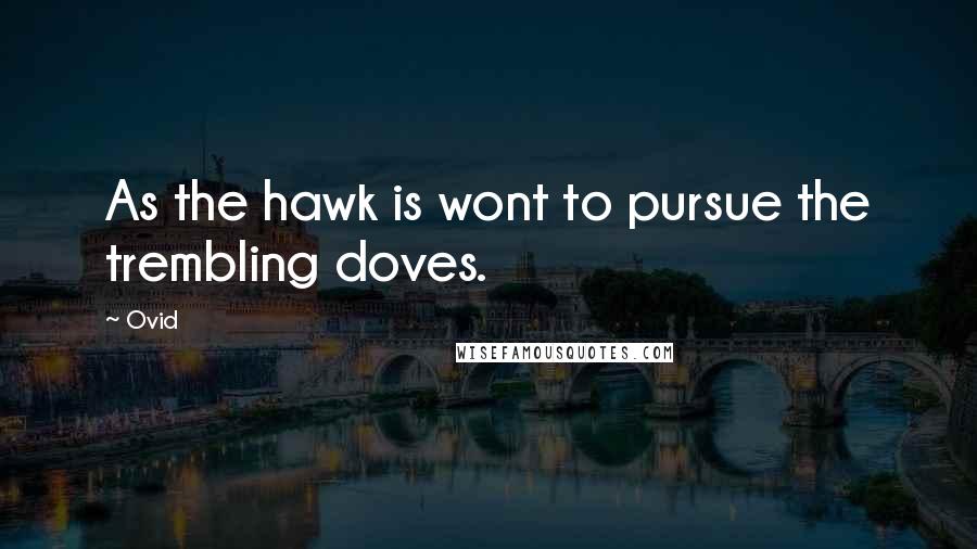 Ovid Quotes: As the hawk is wont to pursue the trembling doves.
