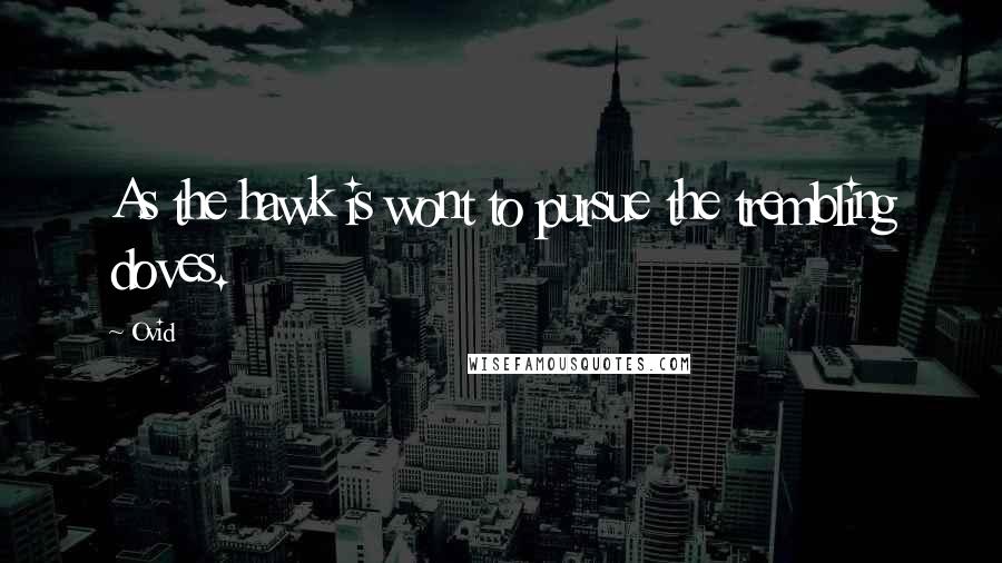 Ovid Quotes: As the hawk is wont to pursue the trembling doves.