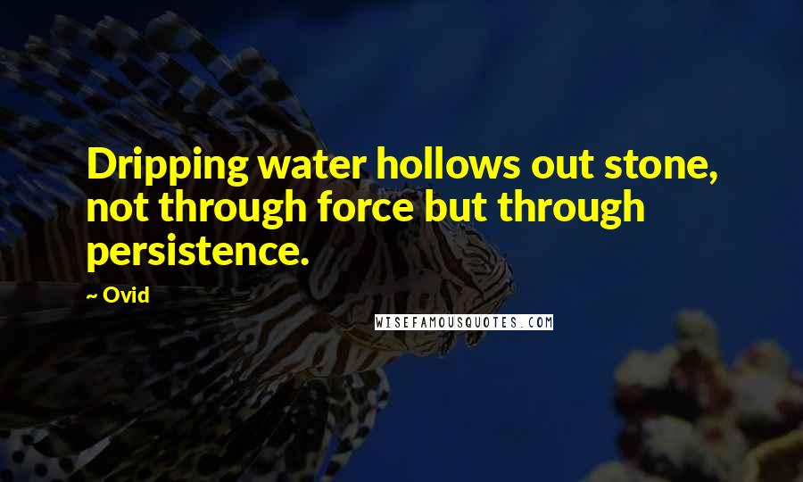 Ovid Quotes: Dripping water hollows out stone, not through force but through persistence.
