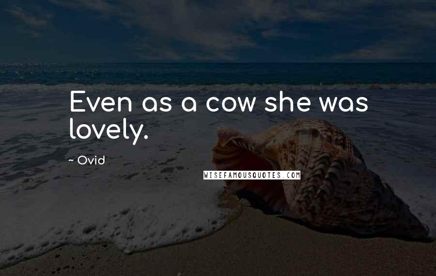 Ovid Quotes: Even as a cow she was lovely.