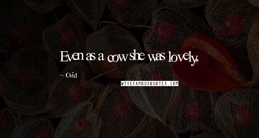 Ovid Quotes: Even as a cow she was lovely.