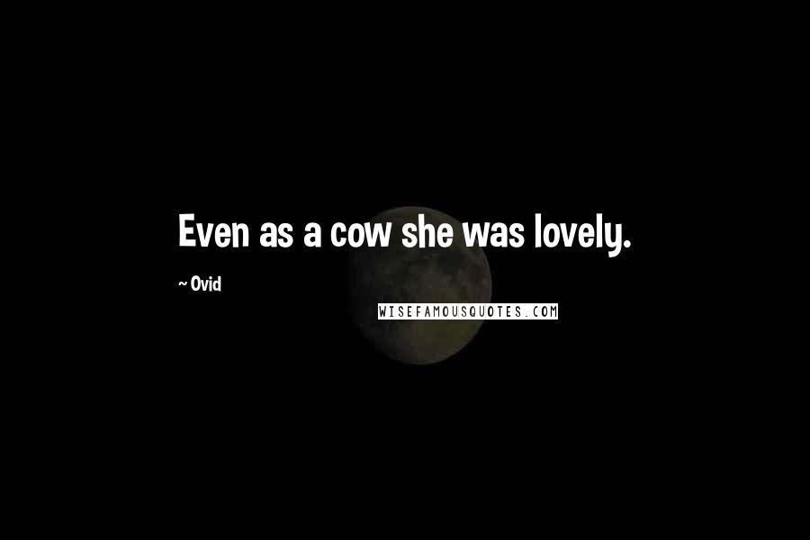 Ovid Quotes: Even as a cow she was lovely.