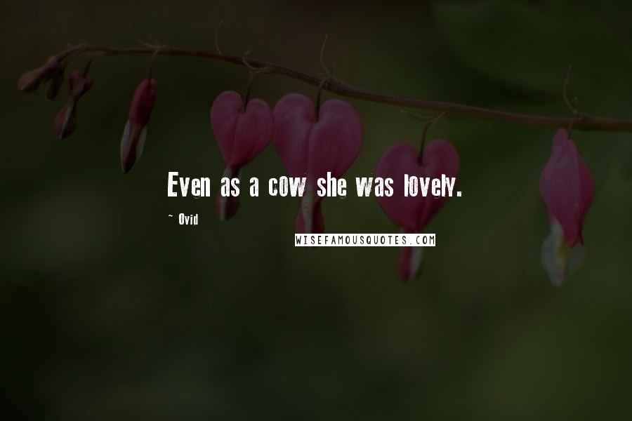 Ovid Quotes: Even as a cow she was lovely.
