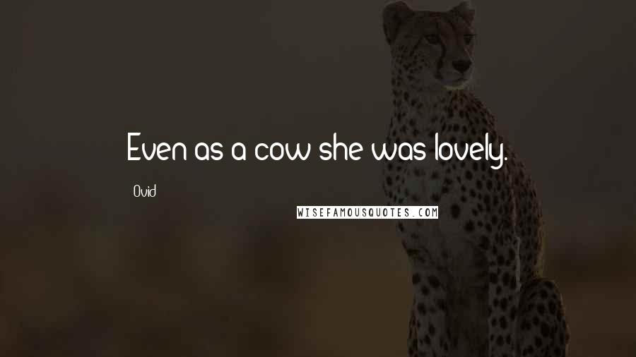 Ovid Quotes: Even as a cow she was lovely.