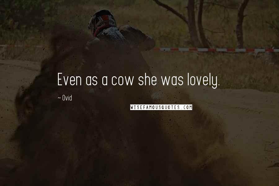 Ovid Quotes: Even as a cow she was lovely.
