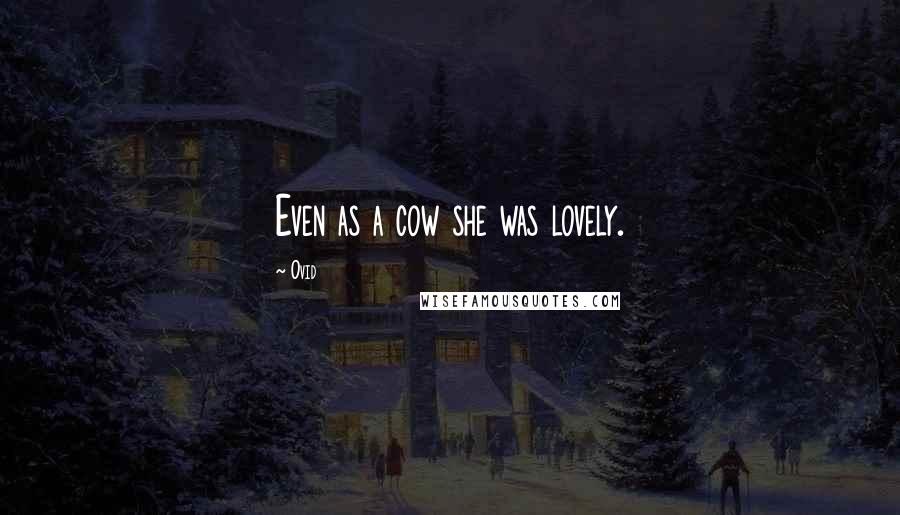 Ovid Quotes: Even as a cow she was lovely.