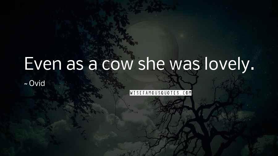 Ovid Quotes: Even as a cow she was lovely.