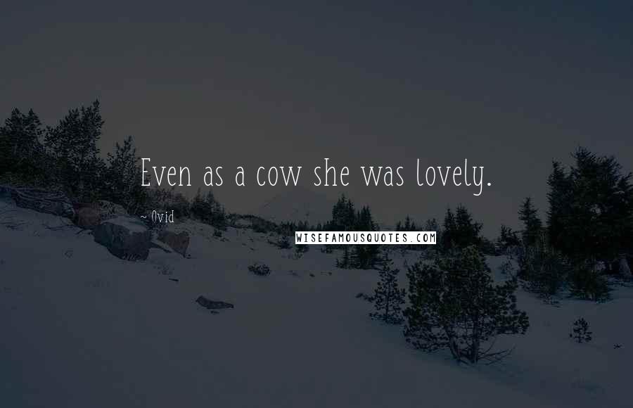 Ovid Quotes: Even as a cow she was lovely.