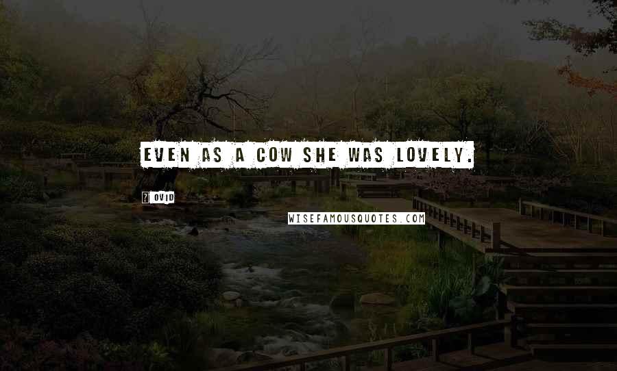 Ovid Quotes: Even as a cow she was lovely.