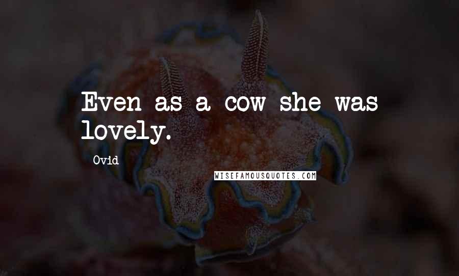 Ovid Quotes: Even as a cow she was lovely.