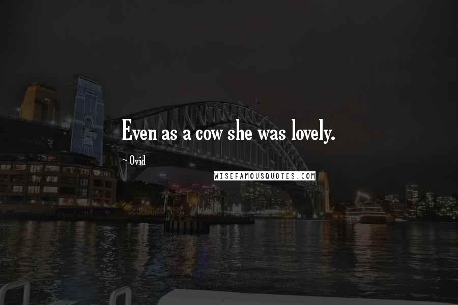 Ovid Quotes: Even as a cow she was lovely.