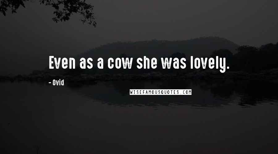 Ovid Quotes: Even as a cow she was lovely.