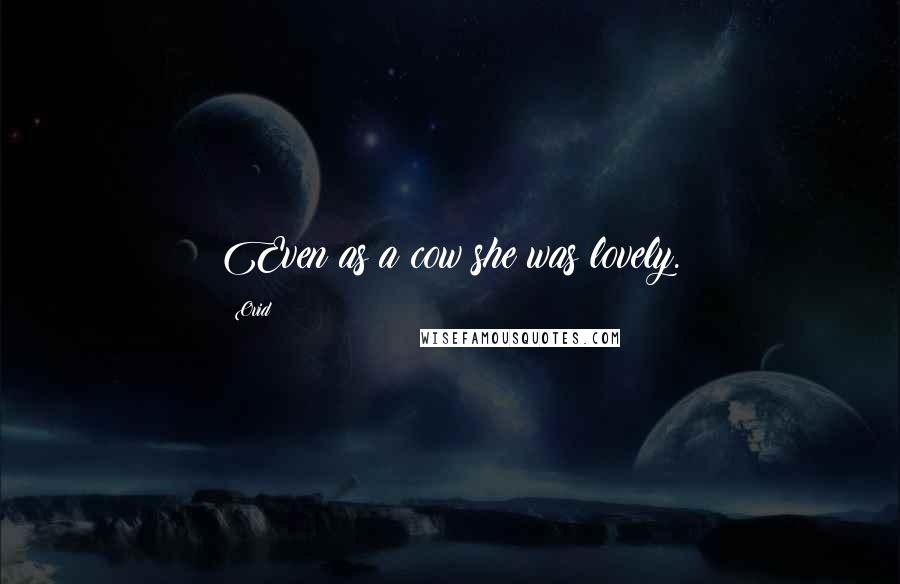Ovid Quotes: Even as a cow she was lovely.