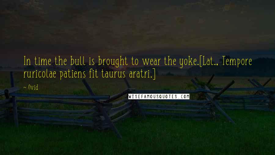 Ovid Quotes: In time the bull is brought to wear the yoke.[Lat., Tempore ruricolae patiens fit taurus aratri.]