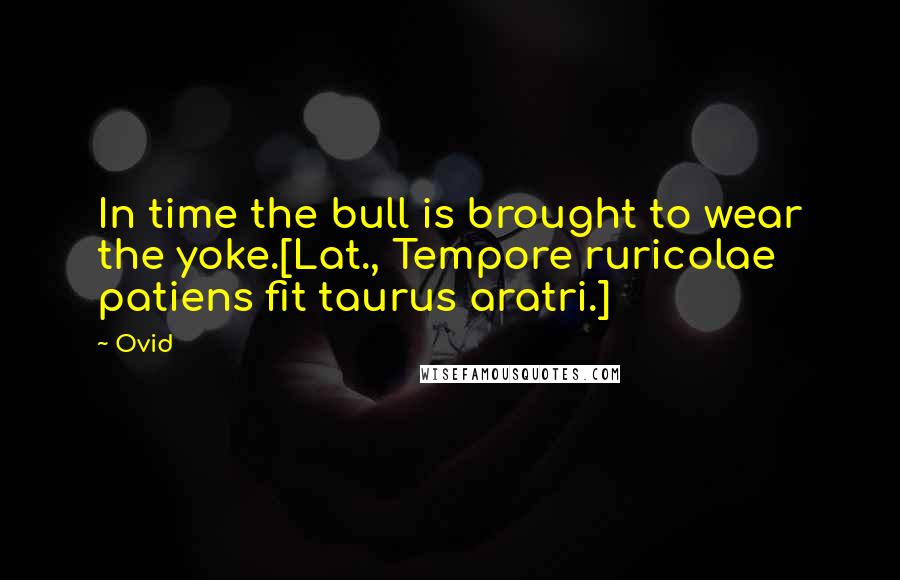 Ovid Quotes: In time the bull is brought to wear the yoke.[Lat., Tempore ruricolae patiens fit taurus aratri.]