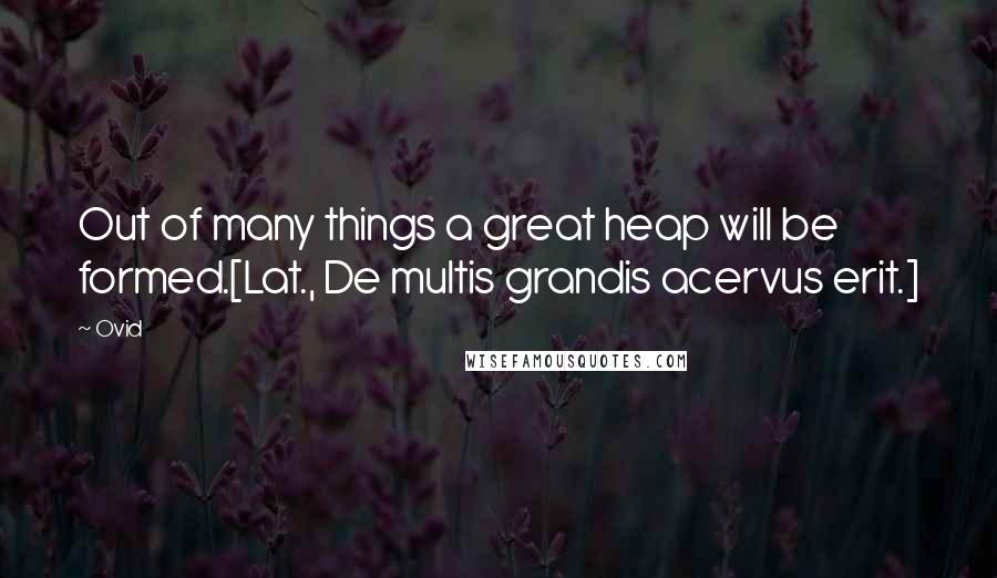 Ovid Quotes: Out of many things a great heap will be formed.[Lat., De multis grandis acervus erit.]