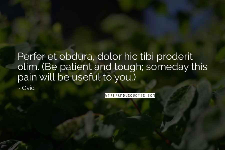 Ovid Quotes: Perfer et obdura, dolor hic tibi proderit olim. (Be patient and tough; someday this pain will be useful to you.)