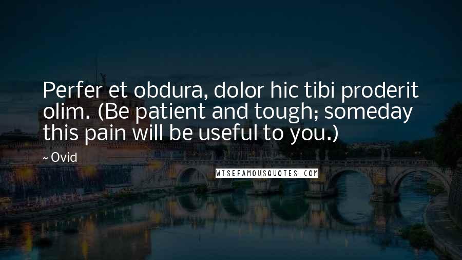 Ovid Quotes: Perfer et obdura, dolor hic tibi proderit olim. (Be patient and tough; someday this pain will be useful to you.)