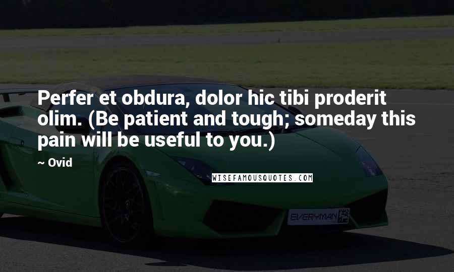 Ovid Quotes: Perfer et obdura, dolor hic tibi proderit olim. (Be patient and tough; someday this pain will be useful to you.)