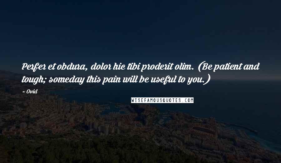Ovid Quotes: Perfer et obdura, dolor hic tibi proderit olim. (Be patient and tough; someday this pain will be useful to you.)