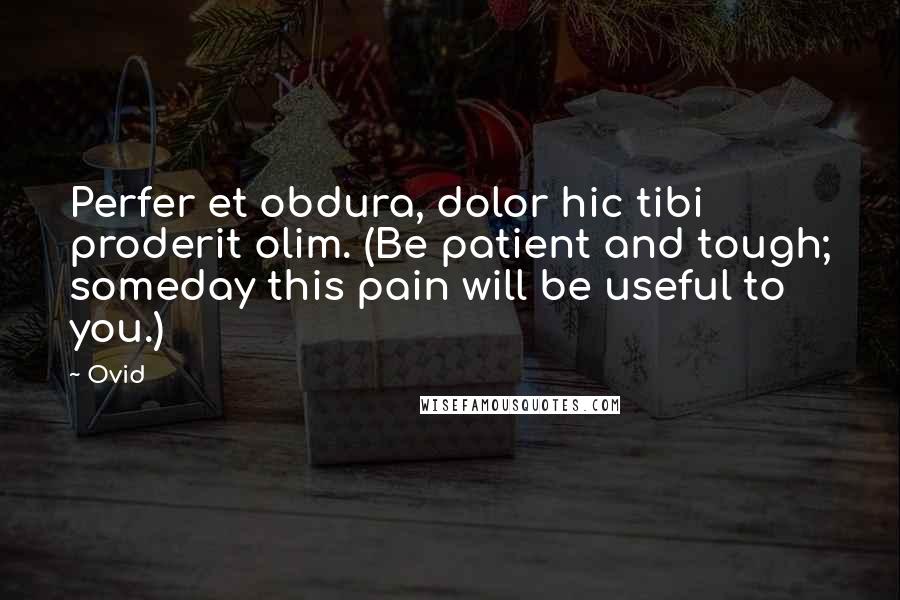 Ovid Quotes: Perfer et obdura, dolor hic tibi proderit olim. (Be patient and tough; someday this pain will be useful to you.)