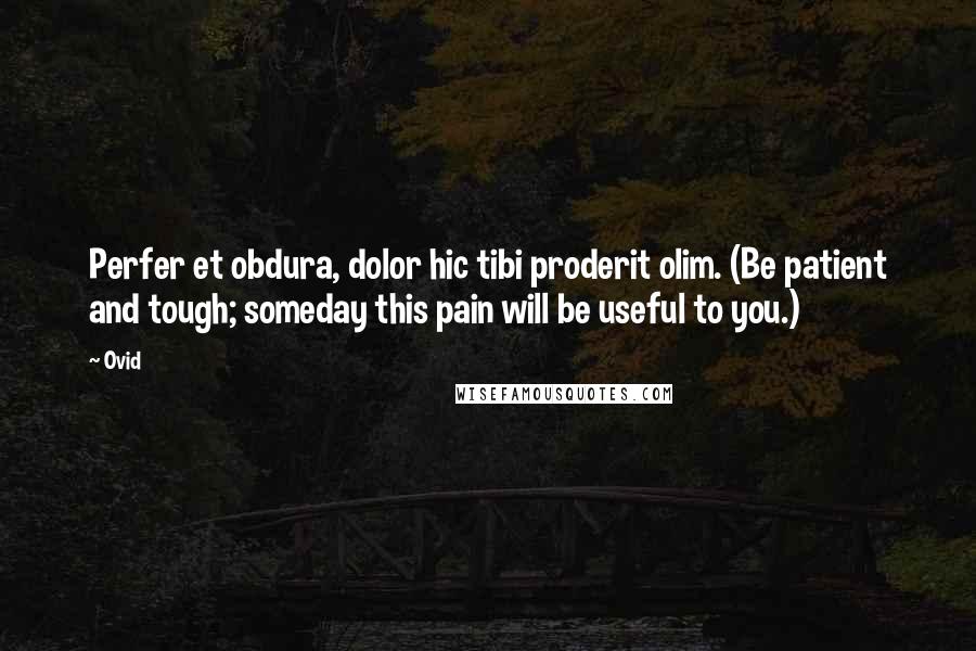 Ovid Quotes: Perfer et obdura, dolor hic tibi proderit olim. (Be patient and tough; someday this pain will be useful to you.)