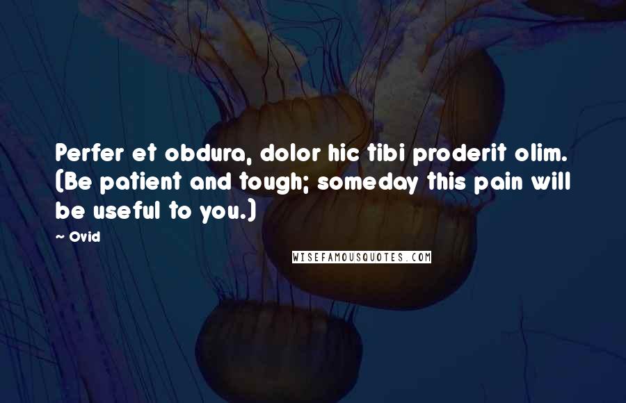 Ovid Quotes: Perfer et obdura, dolor hic tibi proderit olim. (Be patient and tough; someday this pain will be useful to you.)