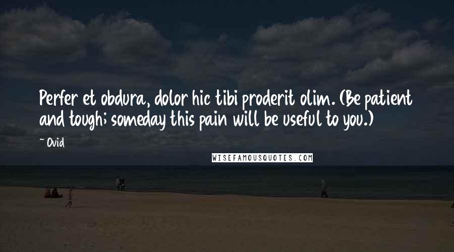Ovid Quotes: Perfer et obdura, dolor hic tibi proderit olim. (Be patient and tough; someday this pain will be useful to you.)
