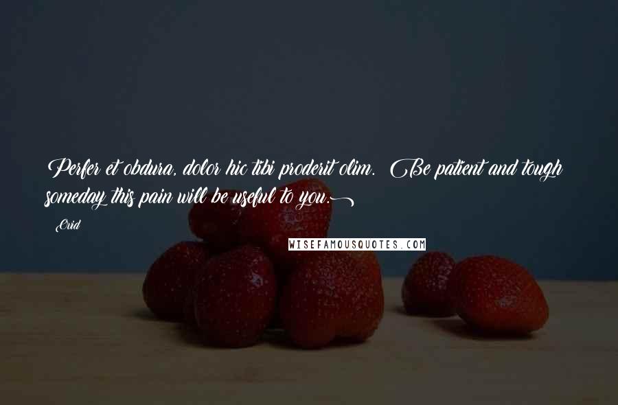 Ovid Quotes: Perfer et obdura, dolor hic tibi proderit olim. (Be patient and tough; someday this pain will be useful to you.)