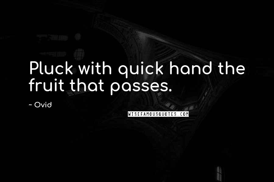 Ovid Quotes: Pluck with quick hand the fruit that passes.