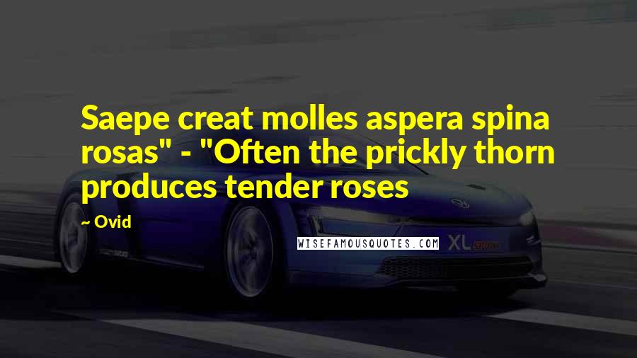Ovid Quotes: Saepe creat molles aspera spina rosas" - "Often the prickly thorn produces tender roses