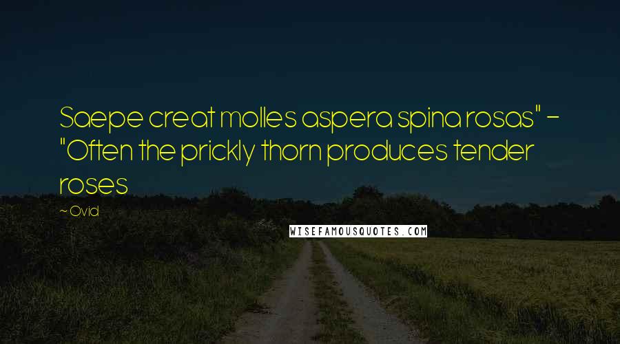 Ovid Quotes: Saepe creat molles aspera spina rosas" - "Often the prickly thorn produces tender roses