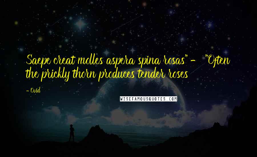 Ovid Quotes: Saepe creat molles aspera spina rosas" - "Often the prickly thorn produces tender roses