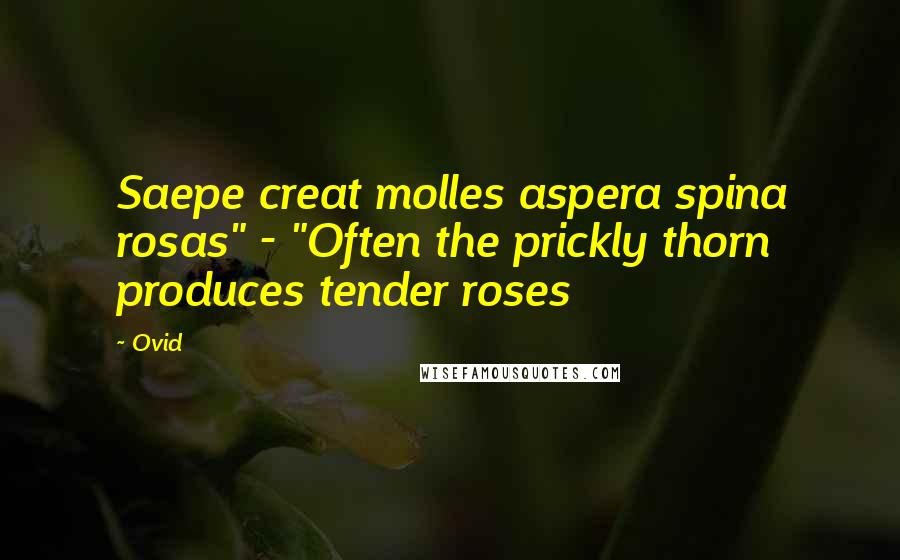 Ovid Quotes: Saepe creat molles aspera spina rosas" - "Often the prickly thorn produces tender roses