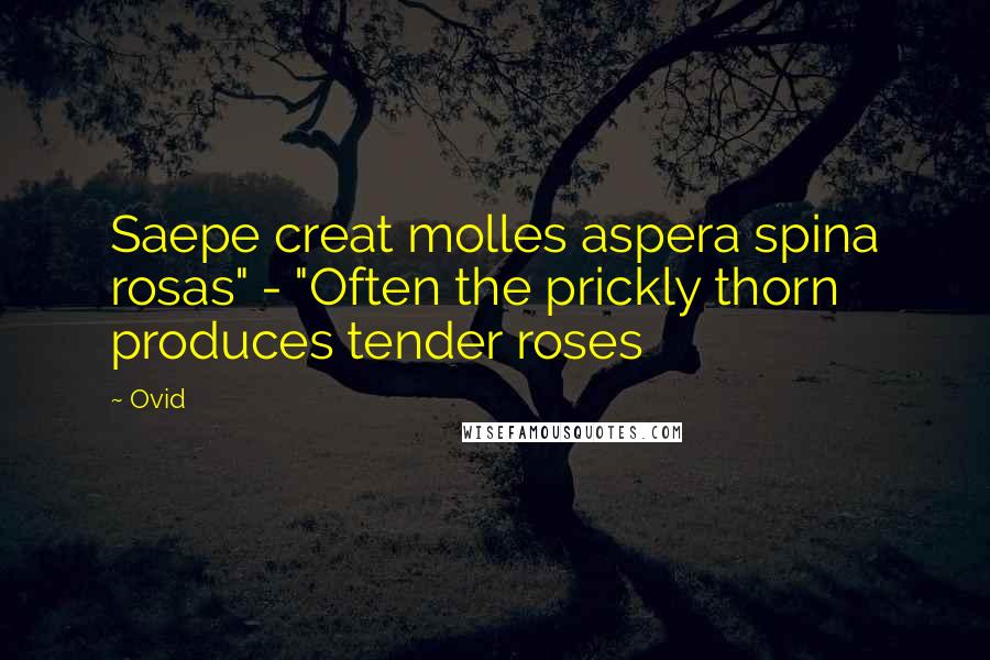 Ovid Quotes: Saepe creat molles aspera spina rosas" - "Often the prickly thorn produces tender roses