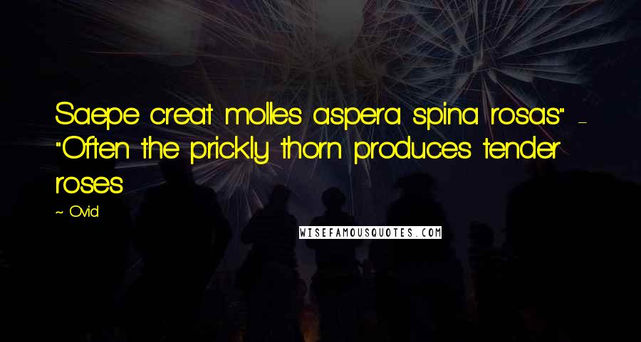Ovid Quotes: Saepe creat molles aspera spina rosas" - "Often the prickly thorn produces tender roses