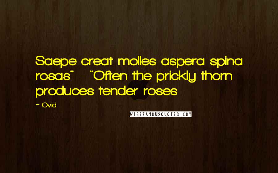 Ovid Quotes: Saepe creat molles aspera spina rosas" - "Often the prickly thorn produces tender roses
