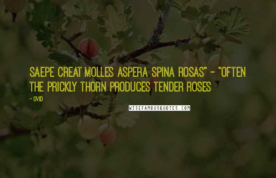 Ovid Quotes: Saepe creat molles aspera spina rosas" - "Often the prickly thorn produces tender roses