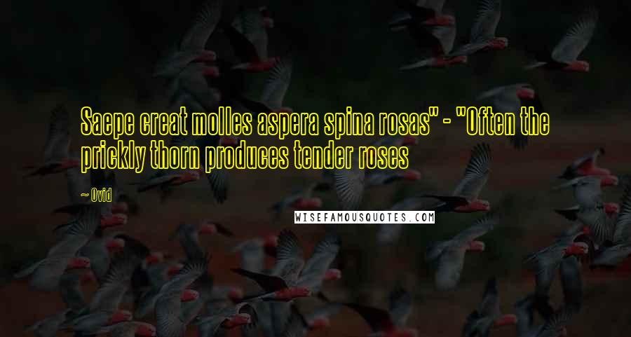 Ovid Quotes: Saepe creat molles aspera spina rosas" - "Often the prickly thorn produces tender roses