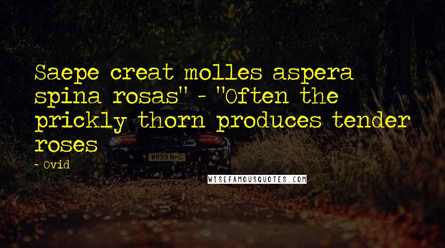 Ovid Quotes: Saepe creat molles aspera spina rosas" - "Often the prickly thorn produces tender roses