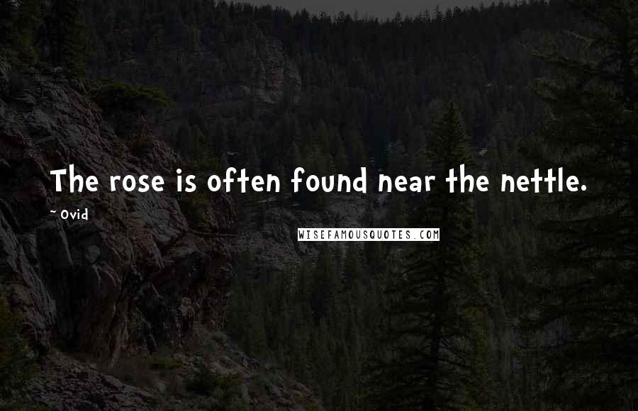 Ovid Quotes: The rose is often found near the nettle.