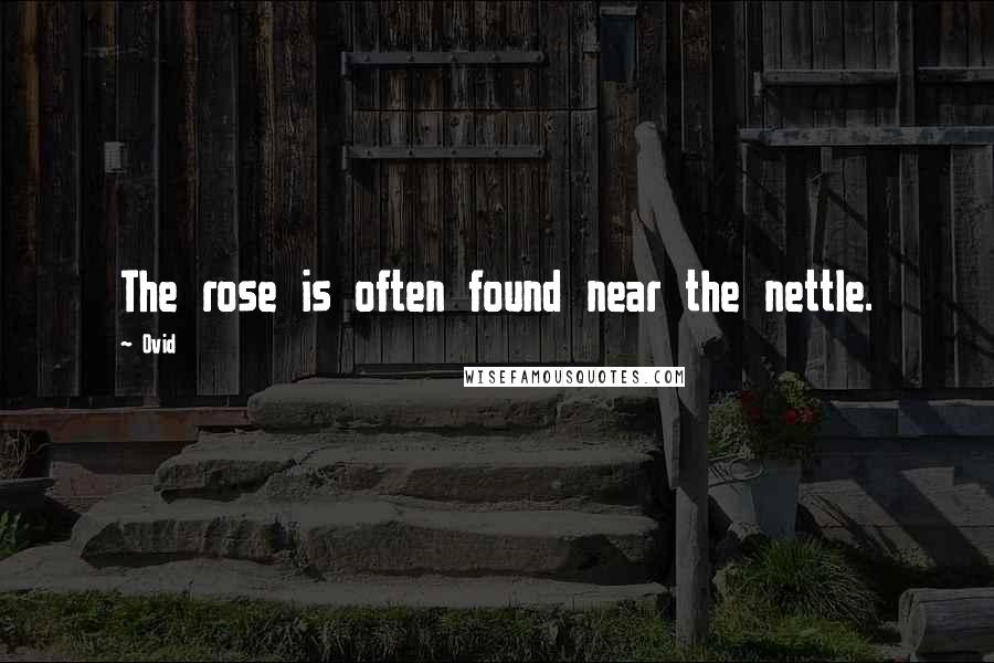 Ovid Quotes: The rose is often found near the nettle.